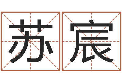 苏宸名字调命运集店起名命格大全-给宝宝起名的软件