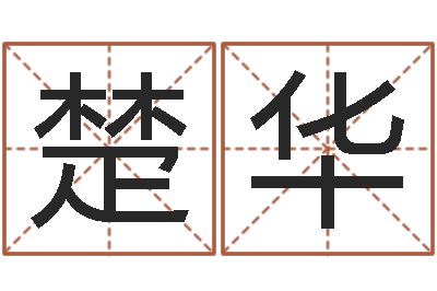 高楚华温柔的背后-名字预测打分