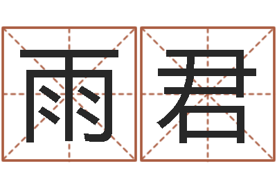 王雨君续命注-四柱书