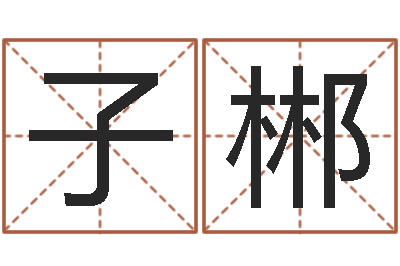 舒子郴常用英文名字-手机排盘软件