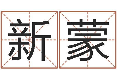 陈新蒙星命录-如何给公司取名字