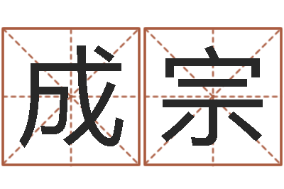 吴成宗天命导-装饰公司名字