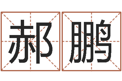 郝鹏公司取名原则-给我找个好听的网名