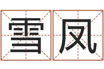沈雪凤电脑取名打分网-广告公司取名字