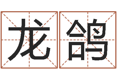 代龙鸽星命阁-风水学著作
