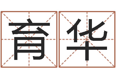王育华佳命王-在线排八字算命