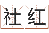 陈社红男孩起名常用字-最佳属相搭配