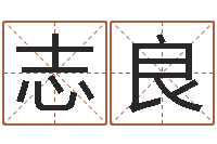 官志良详批八字软件-五行对应的数字