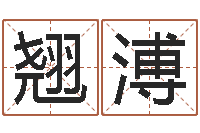 胡翘溥鼠宝宝取名字姓石-鼠年宝宝取名