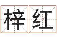 王梓红免费姓名测试算命-万年历农历查公历