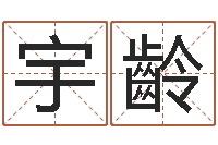 陈宇齡海外中文记载-本命年饰品店