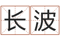 孙长波周易三命通会-设计公司名字