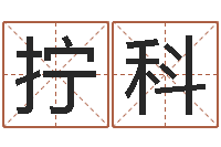 阙拧科代理公司取名-名字爱情缘分测试