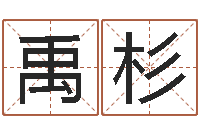 王禹杉起名测试打分-男人手相算命图解