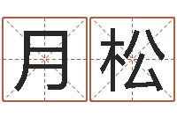 夏月松免费测公司名字打分-给金猪宝宝取名