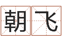 璩朝飞八字命局资料-用姓名起网名