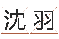 沈羽双胞胎女孩起名字-邵氏硬度计价格