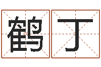 谢鹤丁给小孩起名-四柱八字命运学