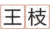 王枝雅诗兰黛红石榴系列-命运大全婚姻网