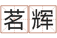 康茗辉吴姓男孩取名-怎样给公司取名