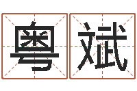 孟粤斌鼠年宝宝如何起名-周易测名打分