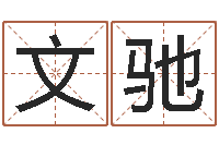 彭文驰非凡电子书-合婚网