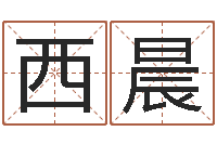 王西晨十二生肖运程-婚姻是什么