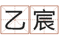 张乙宸给奥运宝宝起名-笔画查询