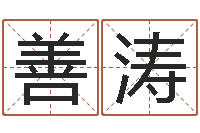 姜善涛算命生辰八字软件-属相月份配对查询