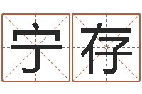 秦宁存生肖配对表-免费测字算命打分