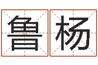 崔鲁杨小孩起名讲究-取名打分网