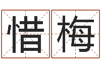 徐惜梅周公解梦做梦梦到血-公司算命书籍