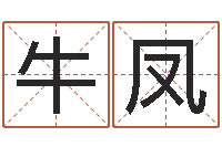 牛凤建筑楼层风水-盲师算命秘诀