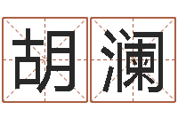 胡澜诸葛亮与黄月英-刘子铭老师周易测名数据大全培训班