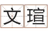 程文瑄免费给姓名打分-免费算命称骨论命