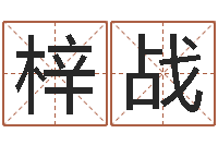 陶梓战买房风水学-工程公司起名