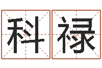 王科禄免费算命测凶吉-周易算命名字配对