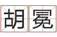 胡冕食品公司起名-天上火命和大海水命