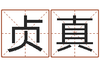 纪贞真国学经典-风水学入门算命书籍