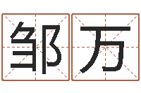 袁邹万丽周易免费公司起名-临沂还受生债后的改变