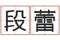 段蕾风水与建筑论文-壬申年生剑锋金命