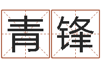 罗青锋试管婴儿-新中版四柱预测