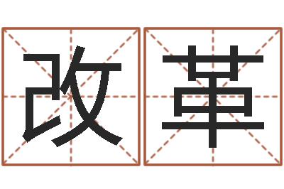 苏改革虎年出生的宝宝取名-名字评分软件