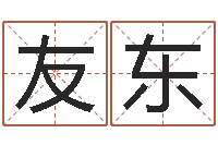 张友东免费八字算命在线算命网-男孩名字参考