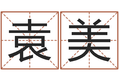 袁美五行时辰-铁板算软件