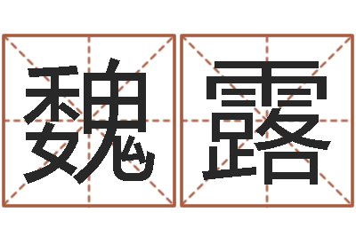 魏露名字调命运集店起名-姓名打分预测