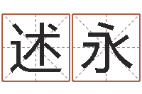 李述永科技公司取名-兔年吉祥物专卖店