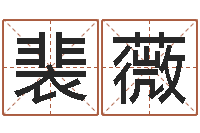 裴薇生命学周公解梦汽车-取名