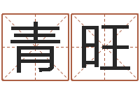 陈青旺24兔年本命年戴什么-良晨吉日