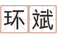 史环斌问道黄金罗盘怎么做-今天财运测试